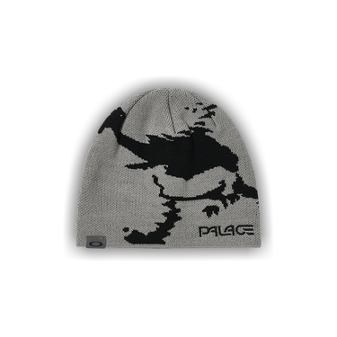 Buy Palace x Oakley Beanie 'Grey/Black' - P24OKBN002 | GOAT