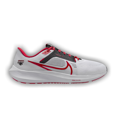 nike air zoom pegasus ohio state