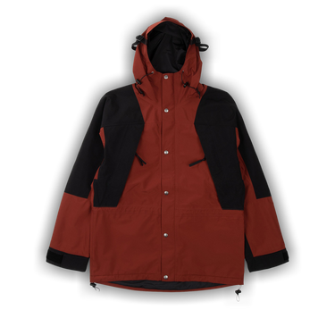 Buy The North Face 1994 Retro Mountain Light Futurelight Jacket