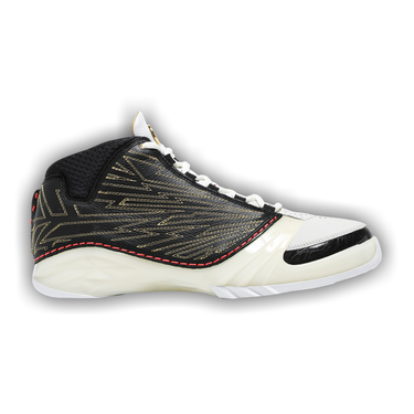 air jordan 23 retro sp x titan