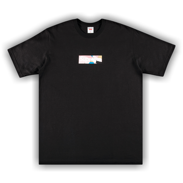 Buy Supreme x Emilio Pucci Box Logo Tee 'Black/Dusty Pink