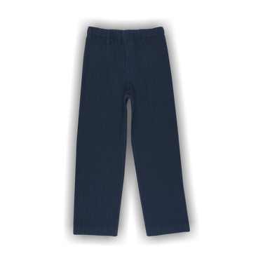 Buy Homme Plissé Issey Miyake Tailored Pleats 2 Pants 'Midnight