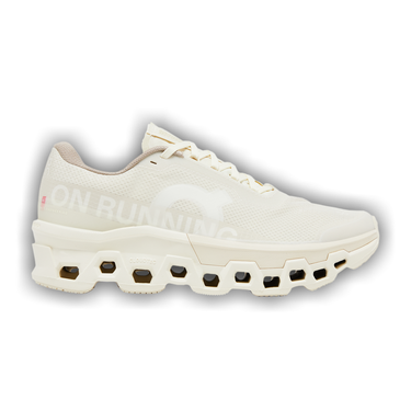 Buy INVINCIBLE x Cloudmonster 2 