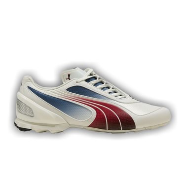 Buy Puma V-S1 'Vapor Grey Dark Crimson' - 402951 06 | GOAT