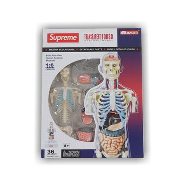 Buy Supreme Male Anatomy Model 'Clear' - FW18A72 CLEAR | GOAT