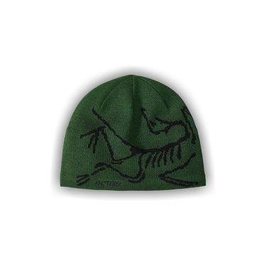 Buy Arc'teryx Bird Head Toque 'Eden/Black' - X000006756 EDEN | GOAT CA