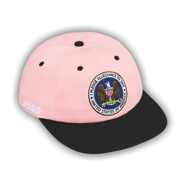 Buy Supreme Pledge Allegiance 6-Panel 'Pink' - FW25H121 PINK | GOAT