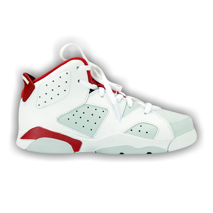Jordan retro 6 alternate best sale