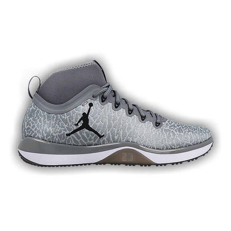Jordan discount trainer 1