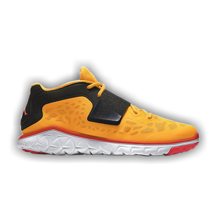 Buy Jordan Flight Flex Trainer 2 768911 803 GOAT