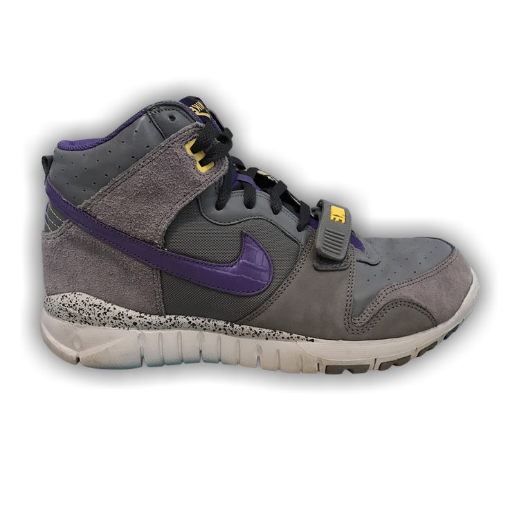 Buy Trainer Dunk High - 316589 051 | GOAT