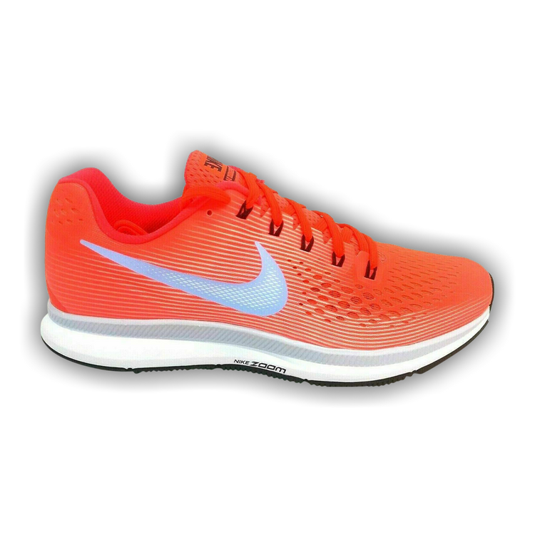 zoom pegasus 34 flyease 4e
