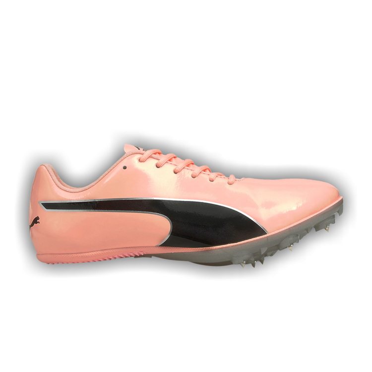 Puma evospeed sprint v7 sales