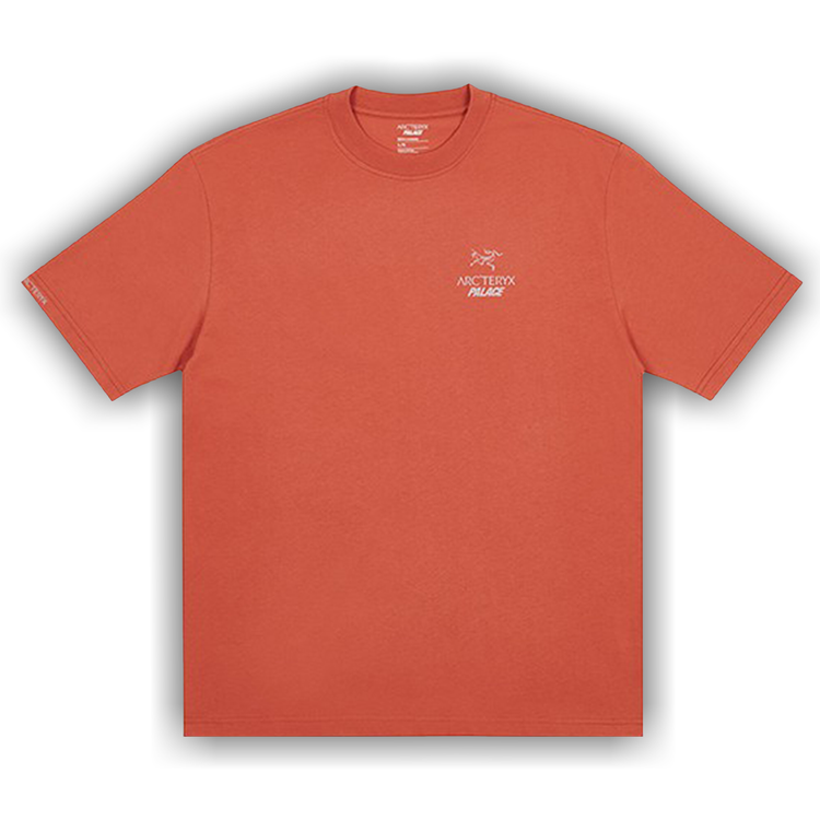 Buy Palace x Arc'teryx T-Shirt 'Ochre' - P19ARXTS005 | GOAT