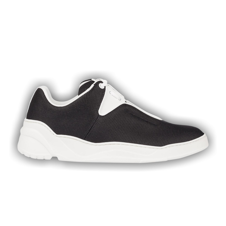 Dior b17 black and white