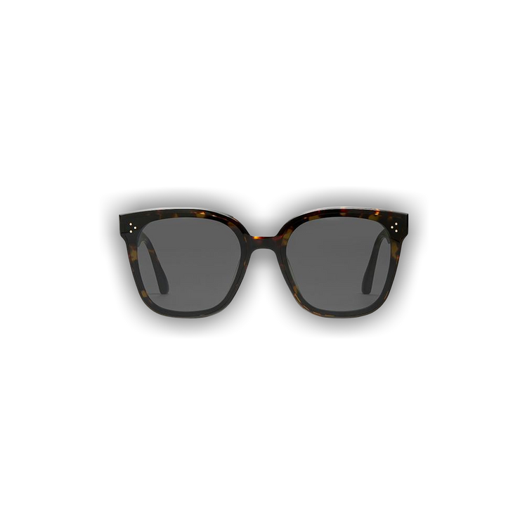 Buy Gentle Monster Rick T1 Sunglasses 'Tortoise/Black' - RICK T1