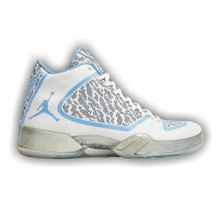 Size 10.5 Air Jordan 29 'Pantone'