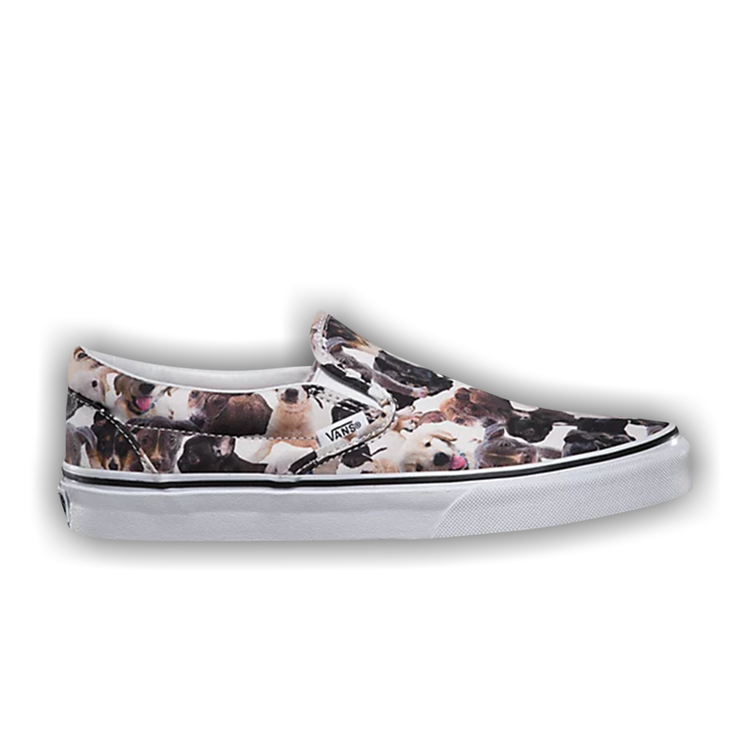 Aspca vans dogs outlet