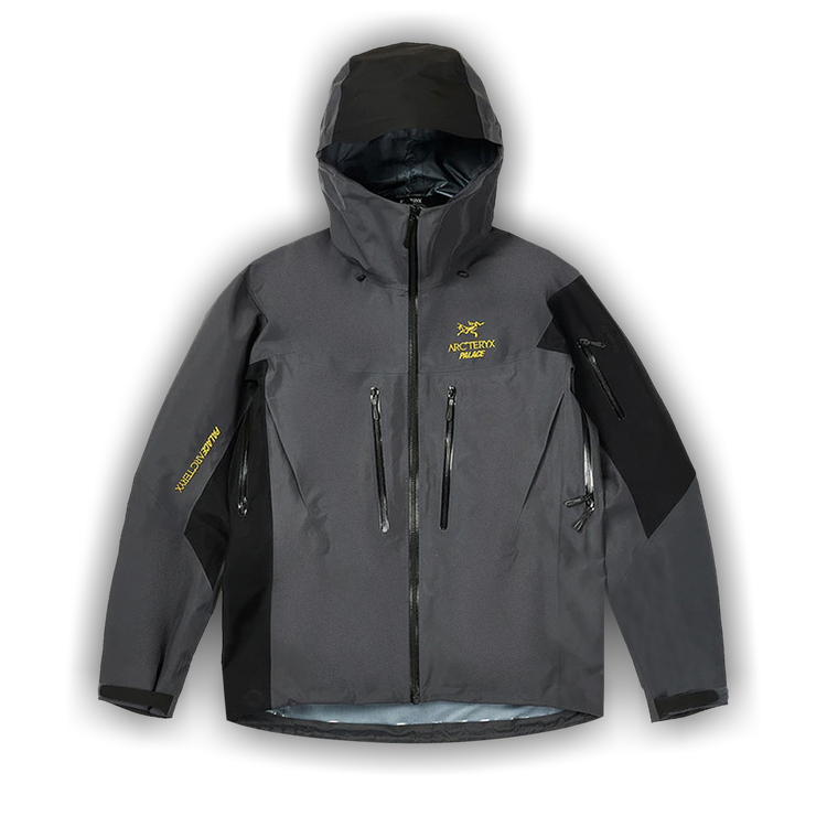 Palace x Arc'Teryx Alpha SV Jacket 'Grey' | GOAT