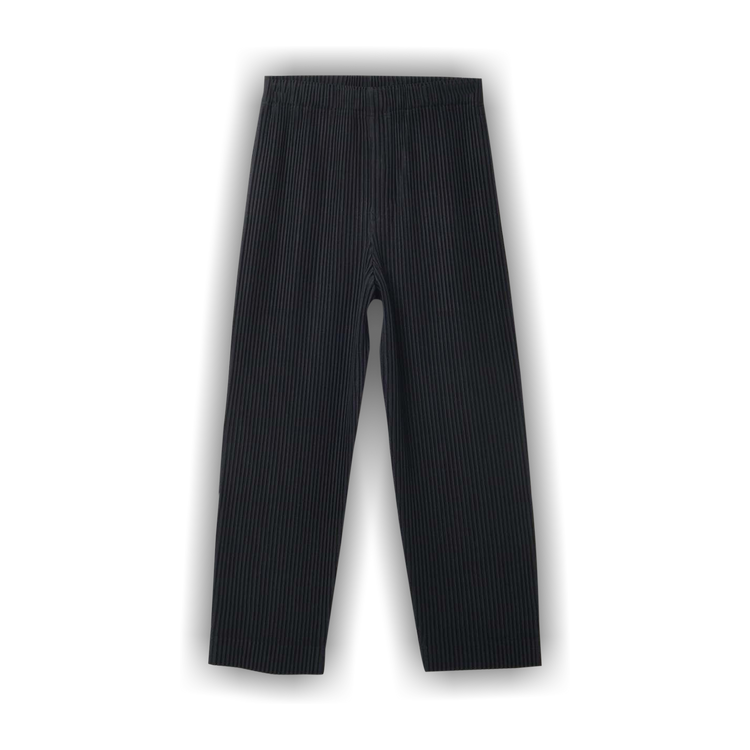 Buy Homme Plissé Issey Miyake February Pants 'Black' - HP26JF114