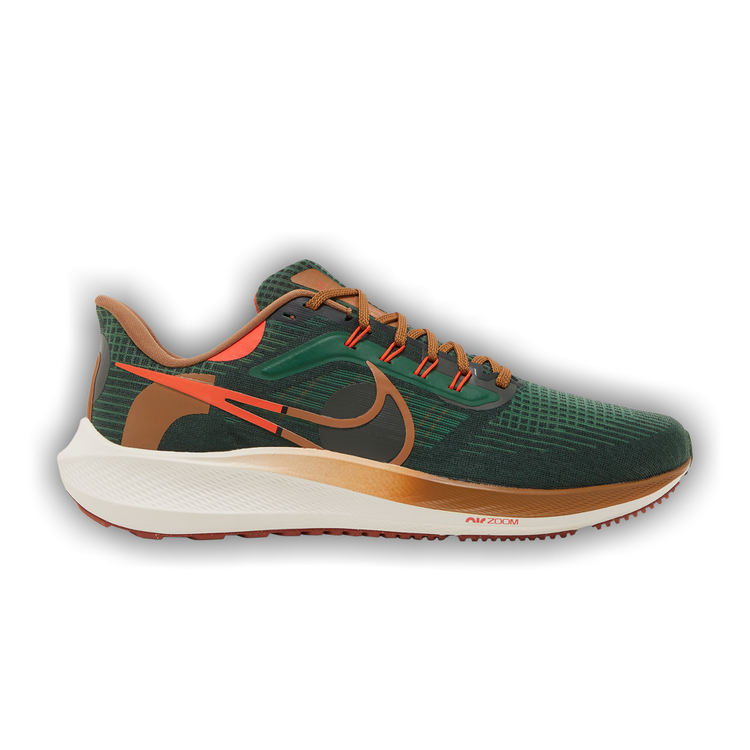 Buy Hola Lou x Nike Air Zoom Pegasus 39 'A.I.R.' - DO9500 300 | GOAT