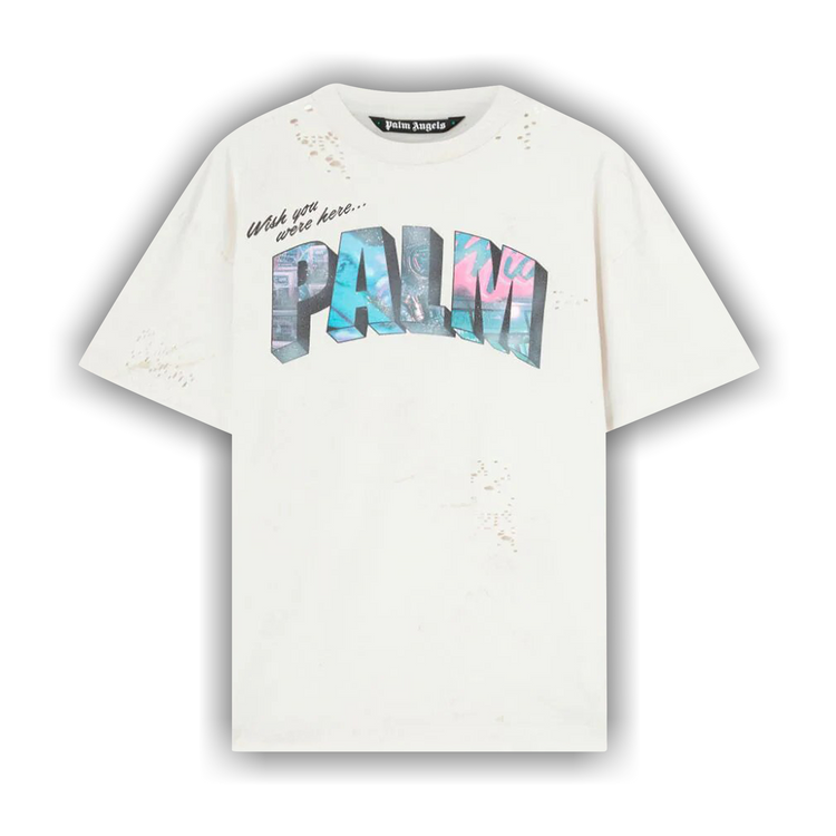 Palmページ Seabrook Designs 56 sq. ft. Coastal Blue Palm Fronds