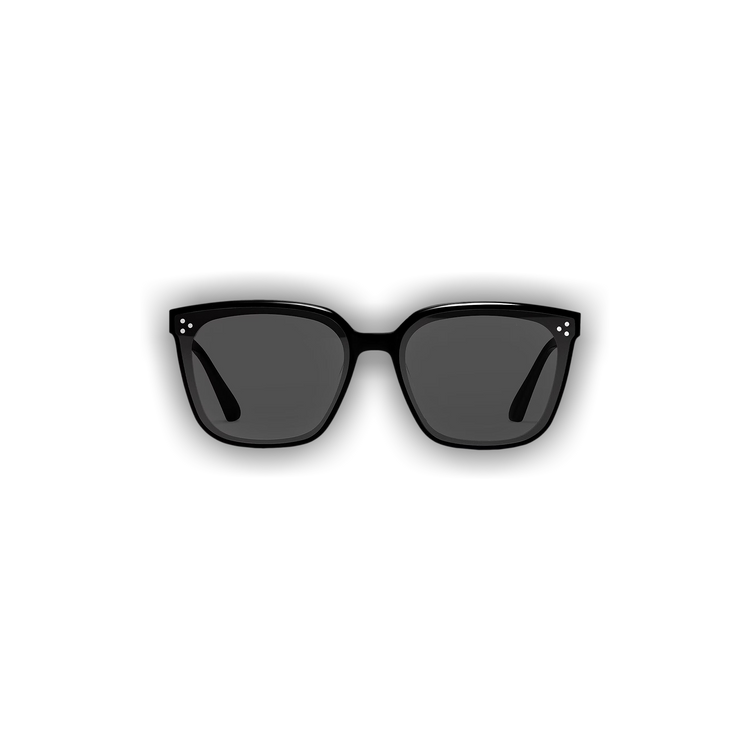 Buy Gentle Monster Palette 01 Small Sunglasses 'Black' - PALETTE S