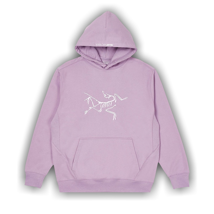 Buy Palace x Arc'teryx Hood 'Haze' - P19ARXHD005 | GOAT