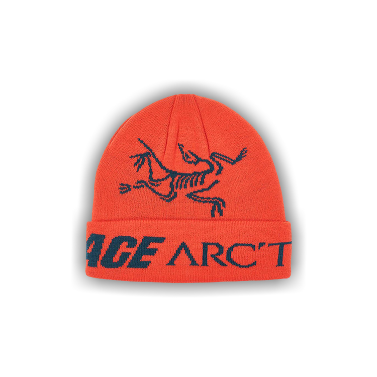 Buy Palace x Arc'teryx Beanie 'Dynasty' - P19ARXBN003 | GOAT