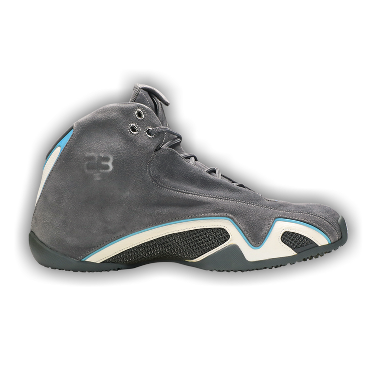 Buy Air Jordan 21 OG 'Light Graphite' - 313495 002 | GOAT