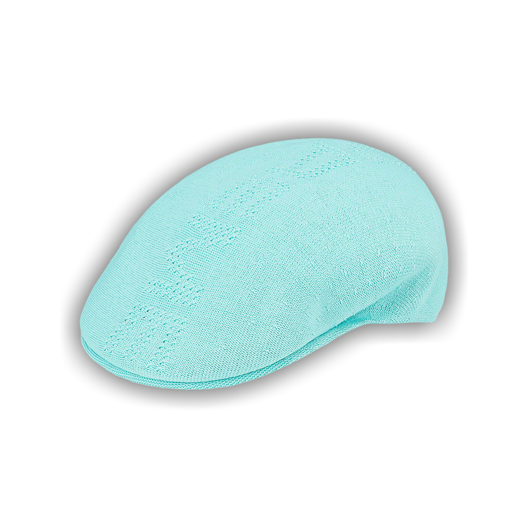 Buy Supreme x Kangol Ventair Logo 504 'Light Blue' - SS22H51
