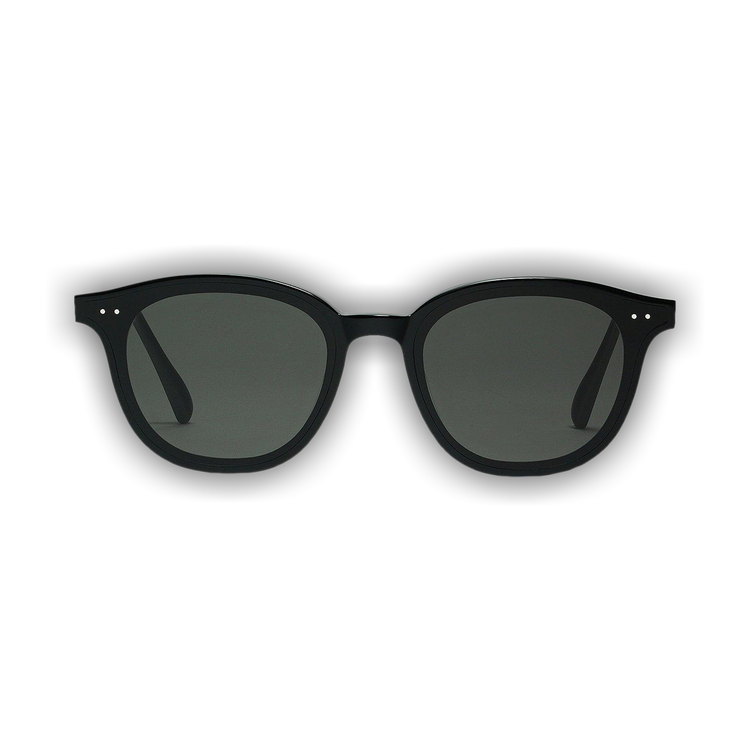 Buy Gentle Monster Lang 01 Sunglasses 'Black' - LANG 01 BLAC | GOAT
