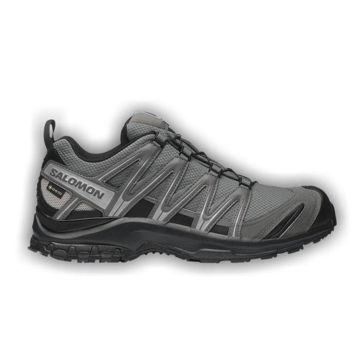 Buy Salomon XA Pro 3D GORE-TEX 'Pewter Silver Cloud
