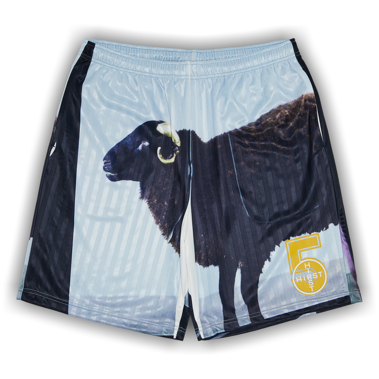 Buy Supreme x Damien Hirst Soccer Short 'Black' - SS25SH30
