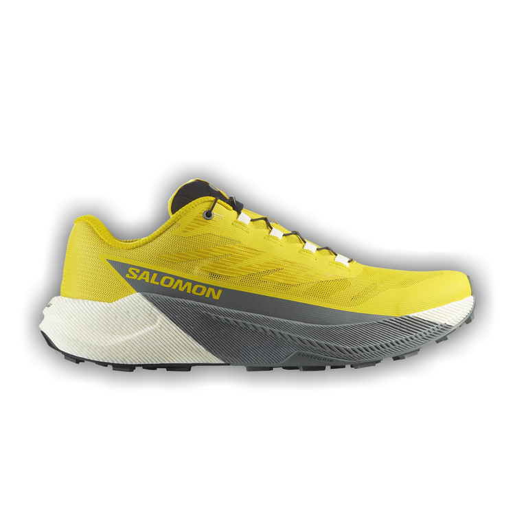 Buy Salomon Pulsar 'Incaberry' - L47973200 | GOAT