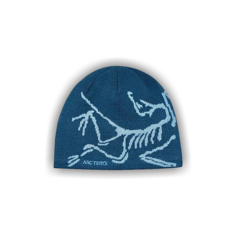 Buy Arc'teryx Bird Head Toque 'Nightscape/Glacial' - X000006756