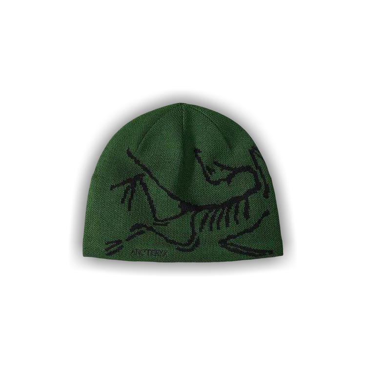 Buy Arc'teryx Bird Head Toque 'Eden/Black' - X000006756 EDEN | GOAT