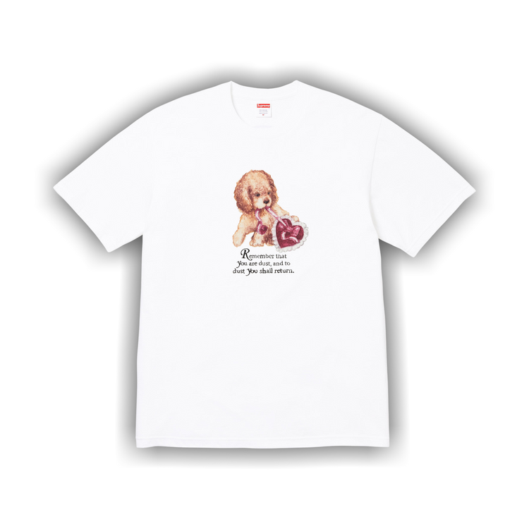 Buy Supreme Dust Tee 'White' - FW25T72 WHITE | GOAT