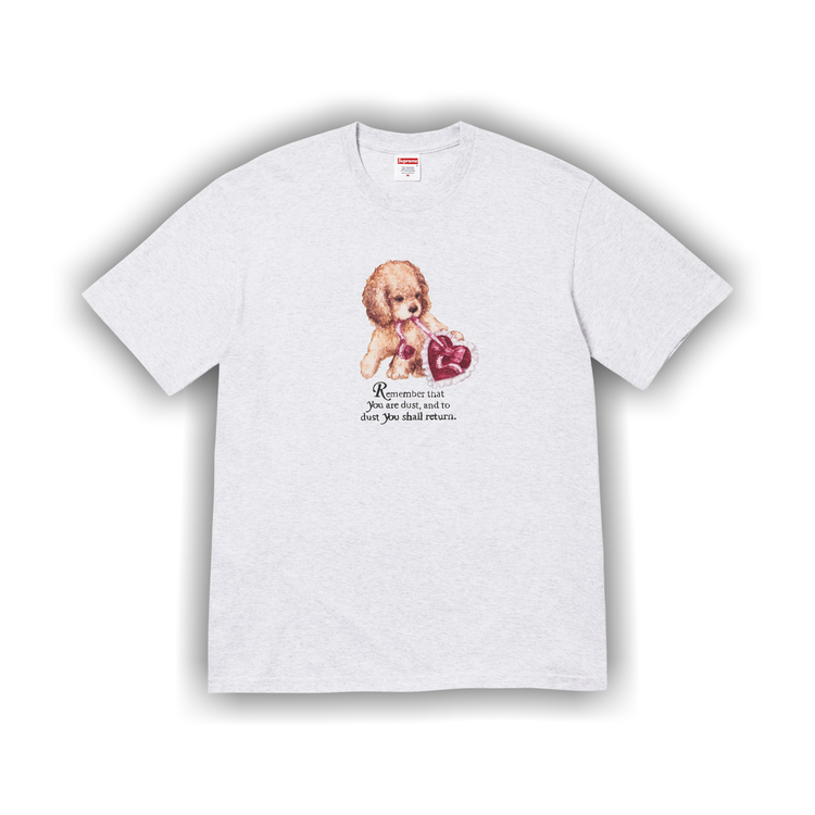 Buy Supreme Dust Tee 'Ash Grey' - FW25T72 ASH GREY | GOAT