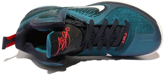 Nike LeBron 9 Swingman