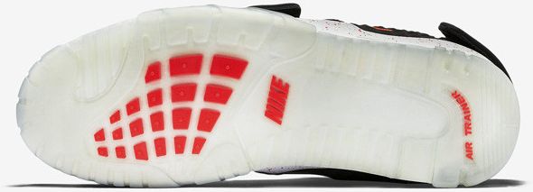 Nike Air Trainer Cruz Memory of Mike