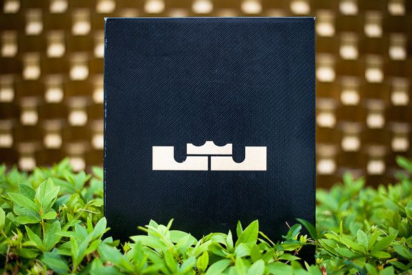 Nike LeBron 10 PS Elite Superhero