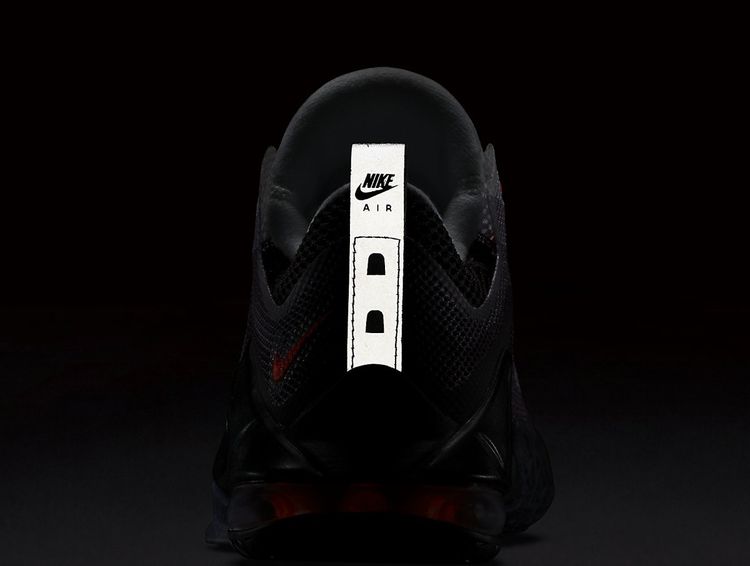 Nike LeBron 12 Low Air Max 95