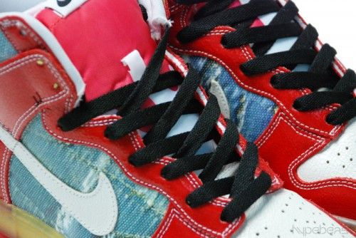 Nike Dunk High Premium SB Shoe Goo