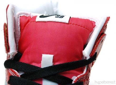 Nike Dunk High Premium SB Shoe Goo