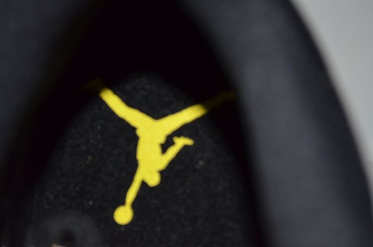 Air Jordan 11 Retro Low IE Zest