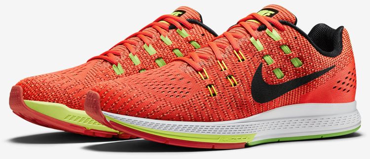 Nike Air Zoom Structure 19