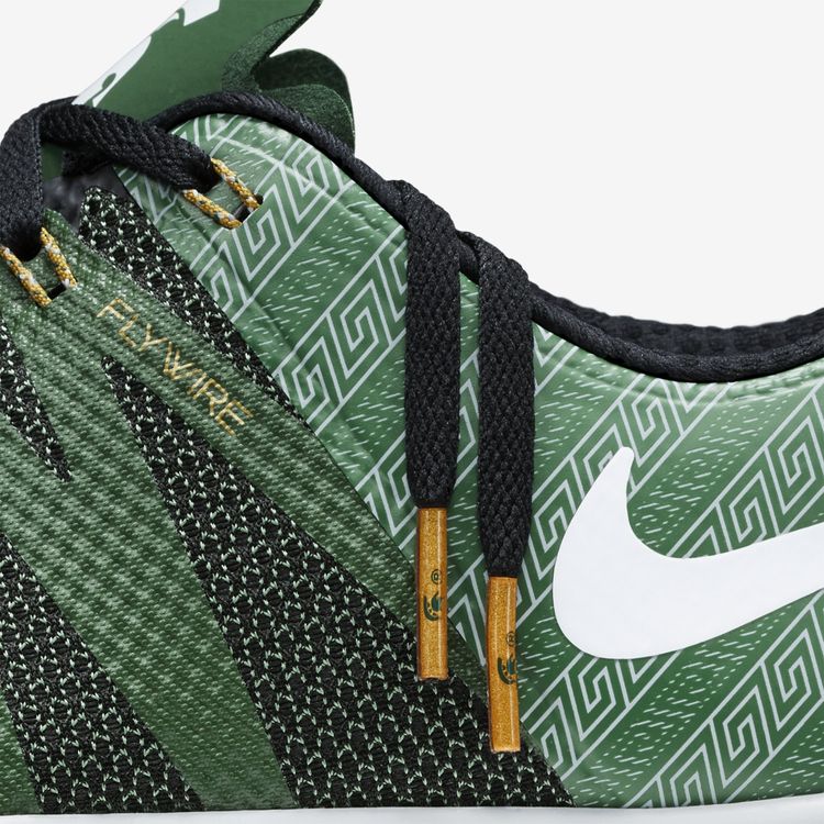 Nike Free Trainer 50 V6 AMP Michigan State