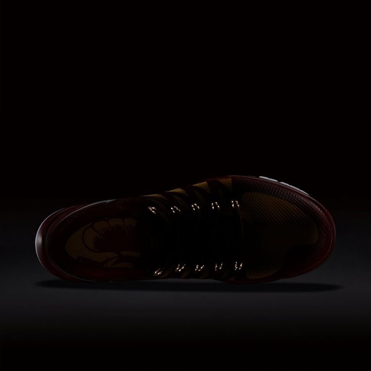 Nike Free Trainer 50 V6 AMP USC