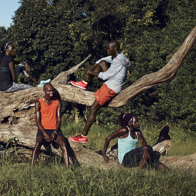 Nike Free 40 Flyknit